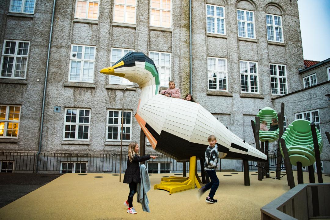 The Fishing Village and the Eider Duck