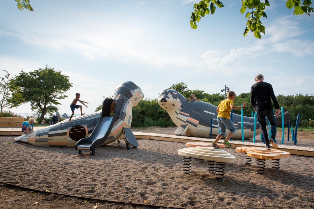 The Visiting Seals Playground