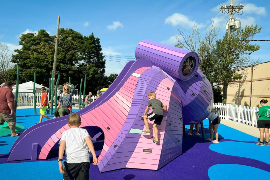 The Purple Octopus Playground